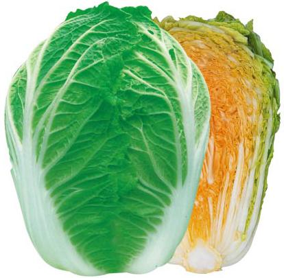 Shisheng Orange Heart——Orange Heart Chinese Cabbage